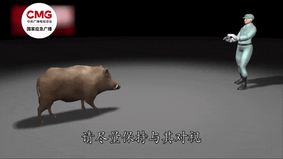 街头横冲直闯<strong></p>
<p>币圈数据</strong>，抱娃女子被撞伤，警方：已被特警击毙