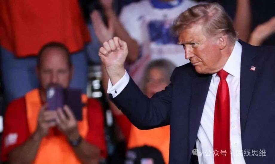 特朗普是铁拳<strong></p>
<p>链圈</strong>，哈里斯是戴着天鹅绒手套的铁拳