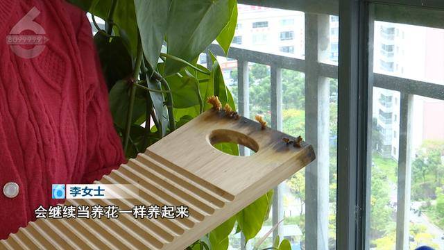 “可以蒸蛋”!昆明一女子家中搓衣板上长菌<strong></p>
<p>残破币兑换</strong>,品种竟是……