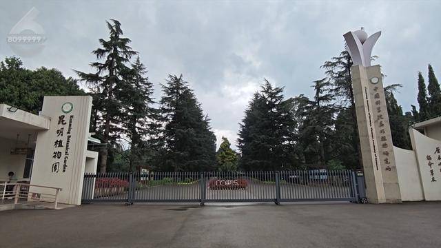 “可以蒸蛋”!昆明一女子家中搓衣板上长菌<strong></p>
<p>残破币兑换</strong>,品种竟是……