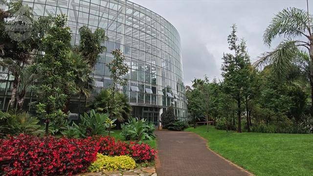 “可以蒸蛋”!昆明一女子家中搓衣板上长菌<strong></p>
<p>残破币兑换</strong>,品种竟是……