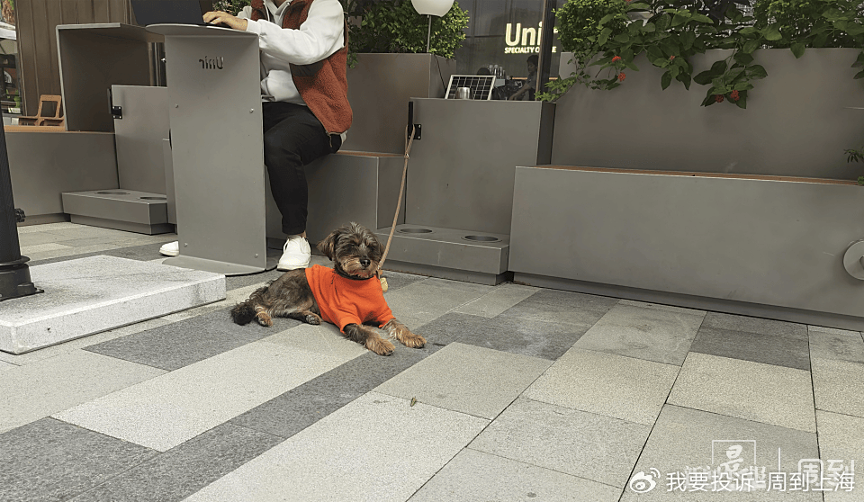 上海现“停狗处”太超前？记者实探：不止一处<strong></p>
<p>残破币兑换</strong>，有人点赞有人忧