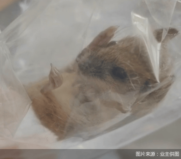 老鼠乱窜、直饮水发黄<strong></p>
<p>币圈馀额宝</strong>，北京业主千万元买的和锦诚园居然是这样