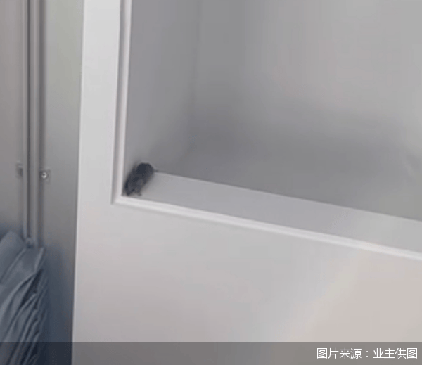 老鼠乱窜、直饮水发黄<strong></p>
<p>币圈馀额宝</strong>，北京业主千万元买的和锦诚园居然是这样