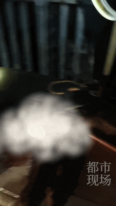 江西一高校惊现野猪<strong></p>
<p>币圈电报群</strong>，最后在食堂被成功抓获