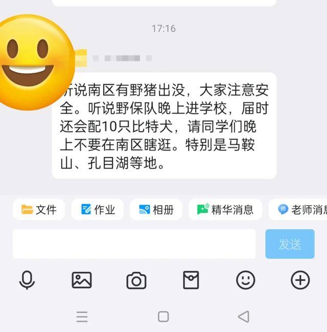 江西一高校惊现野猪<strong></p>
<p>币圈电报群</strong>，最后在食堂被成功抓获