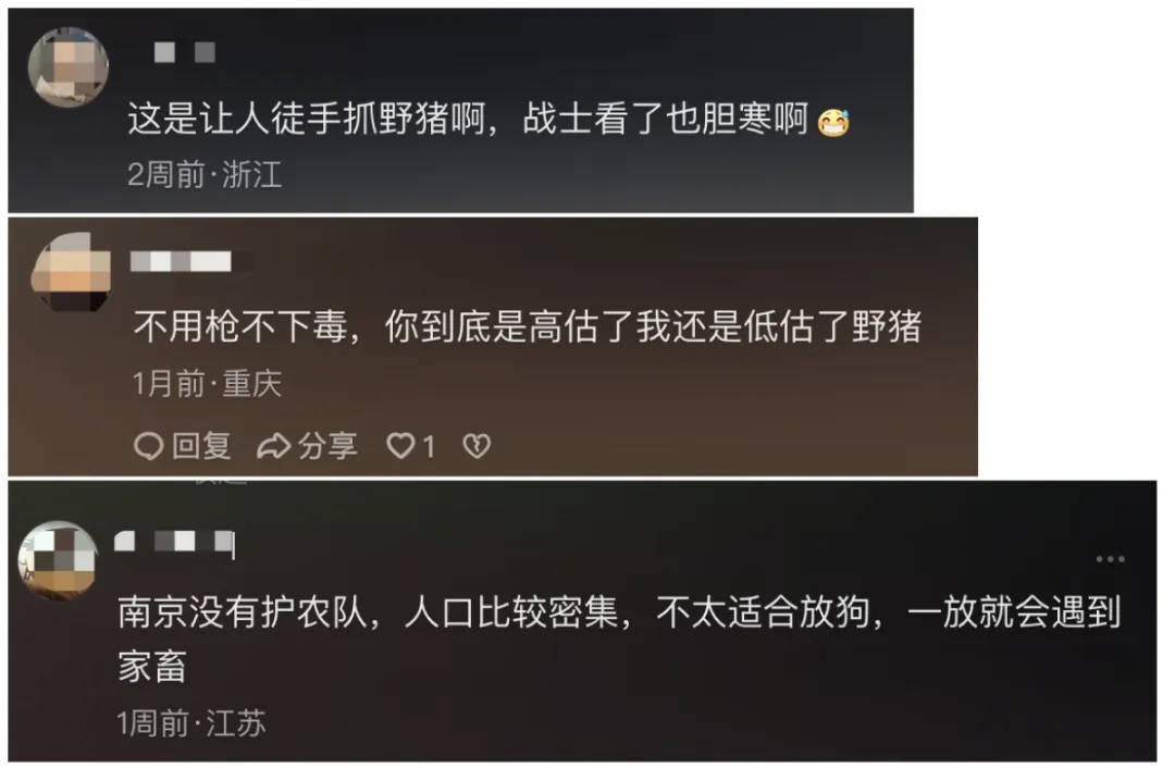 91.5万元打300头野猪<strong></p>
<p>币圈电报群</strong>，南京一企业中标后弃标，知情人：人手不够