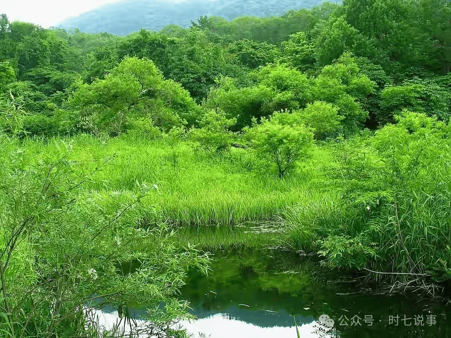 广东珠海驾车撞人事件：35人死亡<strong></p>
<p>币圈电报群</strong>，43人受伤！
