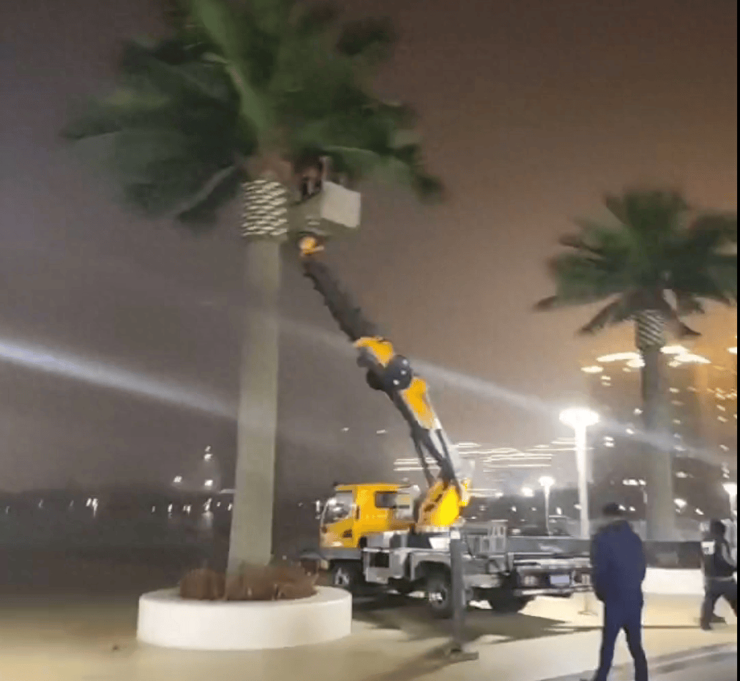 县政府门前广场花1305万建设仿真椰子树、雕塑等<strong></p>
<p>币圈电报群</strong>,中央点名通报后,仿真椰子树连夜拆除