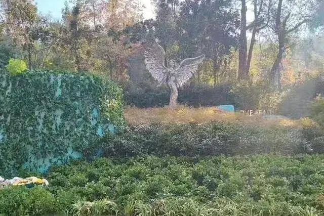 李玟武汉墓地杂草丛生<strong></p>
<p>今日币圈</strong>？其姐姐发文回应