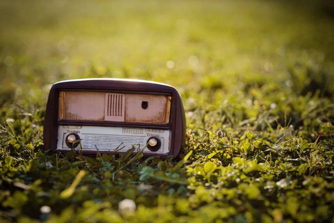 A股<strong></p>
<p>门罗币app</strong>,长期利好!