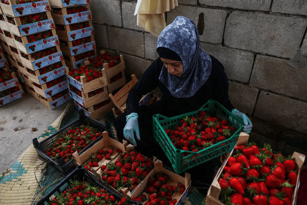 叙利亚战火持续<strong></p>
<p>三元福币</strong>,攻下阿勒颇的反对派武装到底什么来头?在下一盘什么棋?