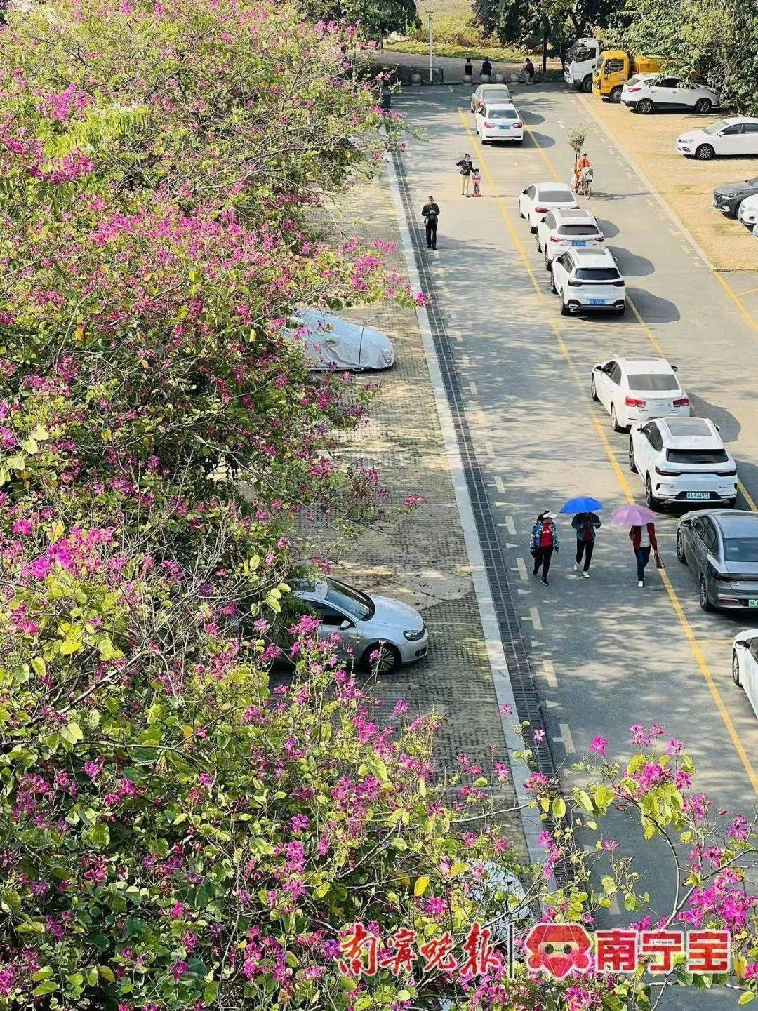 广西将开启“冻人”模式<strong></p>
<p>号码币</strong>!最冷出现在这一天→