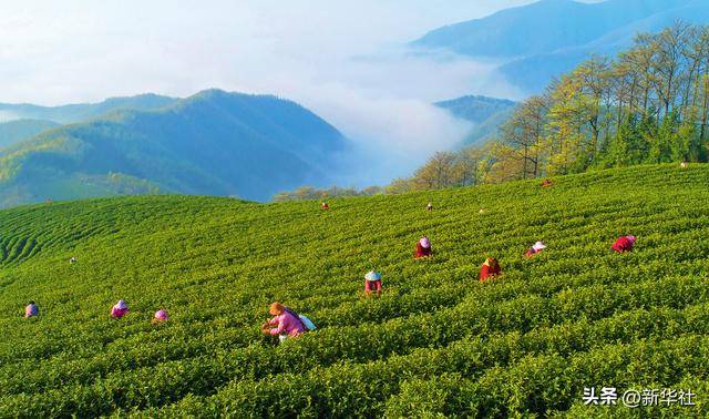 瞭望·治国理政纪事|“<strong></p>
<p>币赛</strong>我也是个老基层”