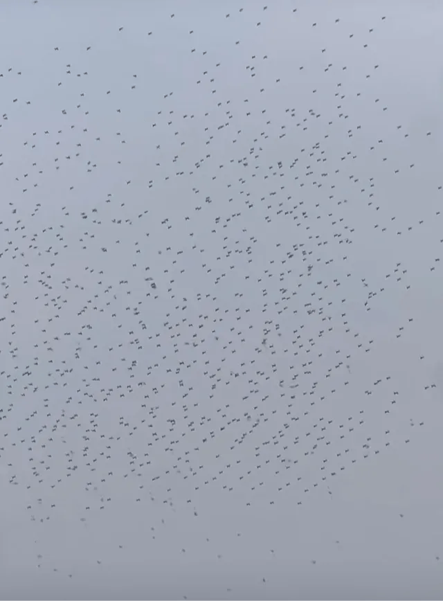 突发坠海<strong></p>
<p>坐以待币</strong>!原因暂不明…赵丽颖等明星发声