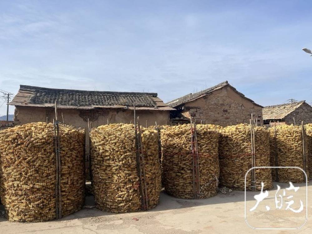 山西女硕士走失13年被找回:如何被收留?村民说法不一 <strong></p>
<p>坐以待币</strong>,男方堂哥称曾登过寻人启事