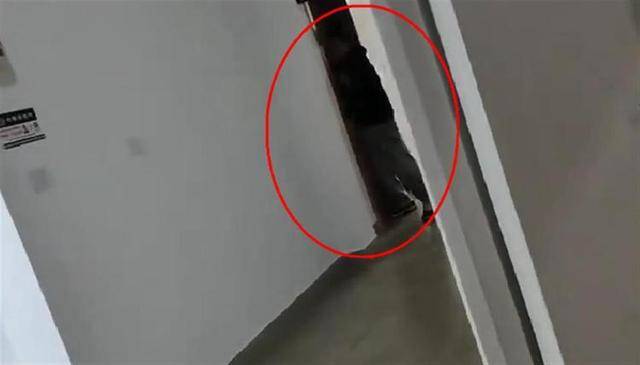 上海一高校男生晚上撞开女生寝室门<strong></p>
<p>币圈术语</strong>，校方：醉酒后走错了