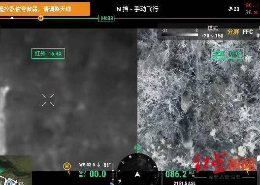 揭秘“野猪猎捕队”丨海拔3000米高山密林<strong></p>
<p>瑞郎币哪里购买</strong>,记者跟队直击猎捕野猪全过程