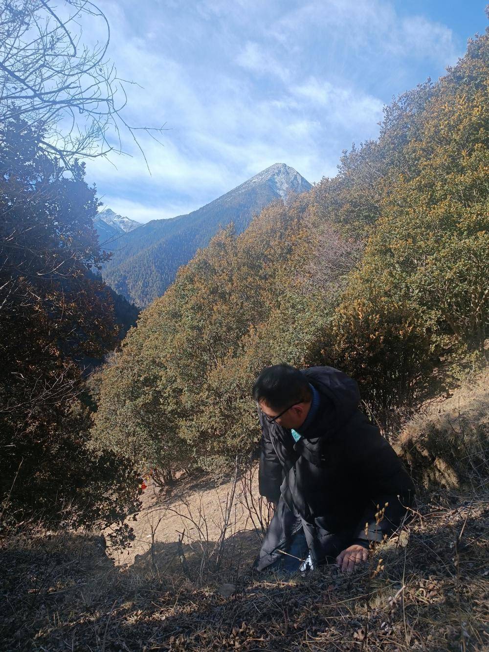 揭秘“野猪猎捕队”丨海拔3000米高山密林<strong></p>
<p>瑞郎币哪里购买</strong>,记者跟队直击猎捕野猪全过程