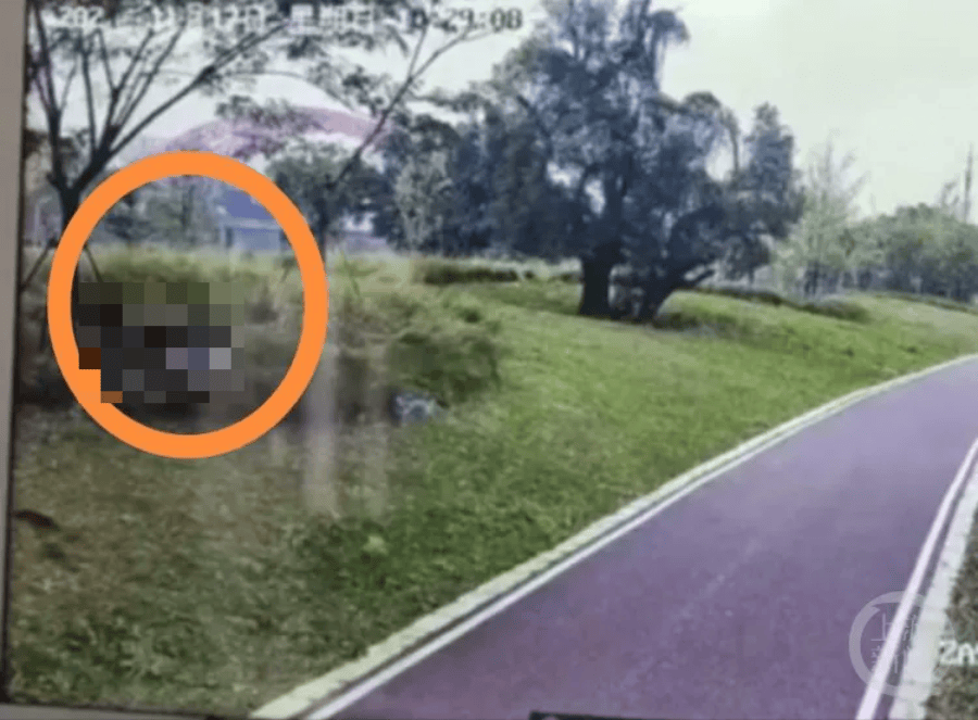 钟某某、王某某被采取刑事强制措施<strong></p>
<p>币虎交易</strong>！