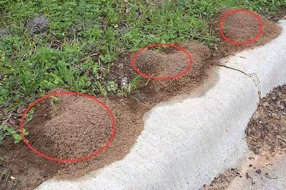 小心<strong></p>
<p>炒币交易网</strong>!毒性强!福州又发现了!千万别碰