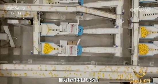 2024年末央视再度专访钟睒睒<strong></p>
<p>心悦币</strong>,背后有何深意?