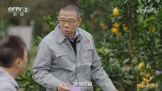 2024年末央视再度专访钟睒睒<strong></p>
<p>心悦币</strong>,背后有何深意?