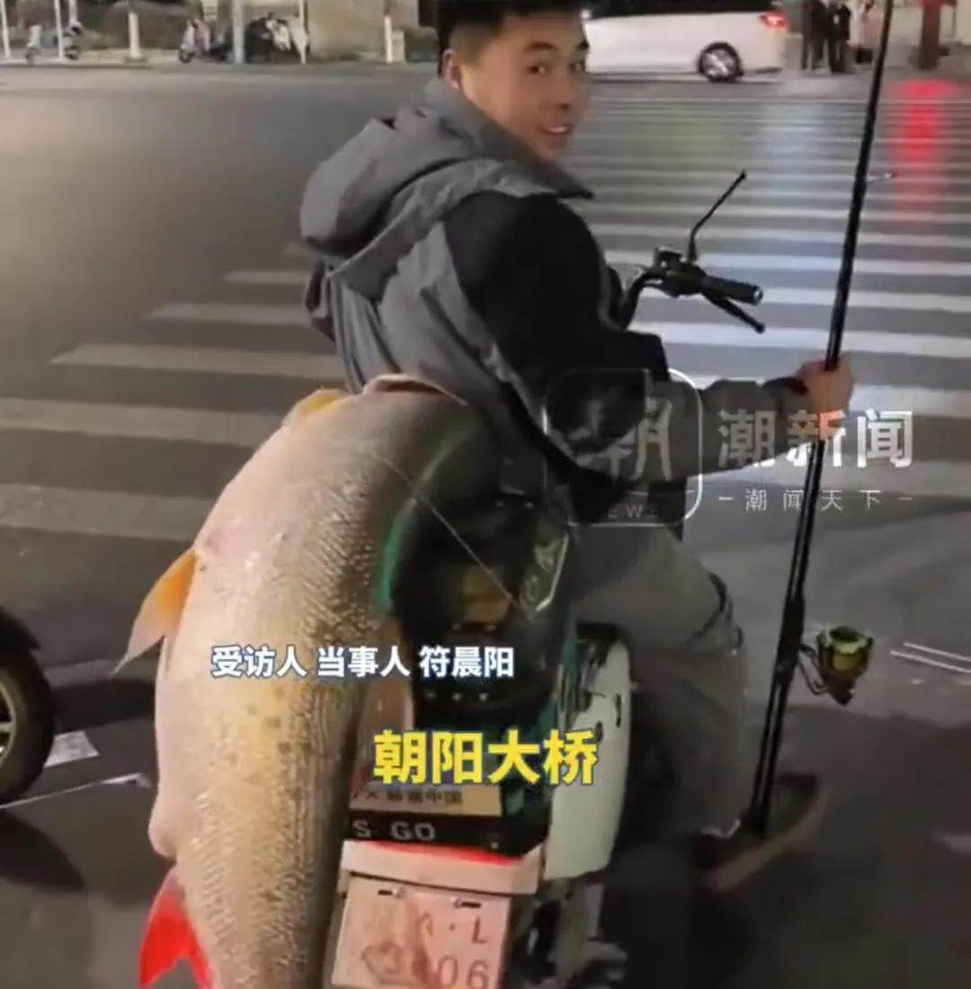 江西男子钓到56斤鳡鱼绕城5小时炫耀:不是天冷能逛到第二天