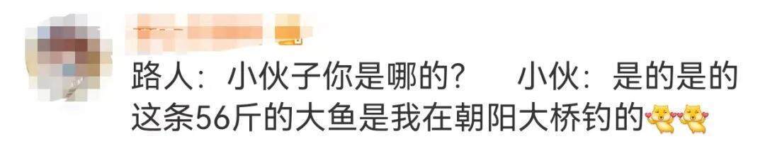 江西男子钓到56斤鳡鱼绕城5小时炫耀:不是天冷能逛到第二天