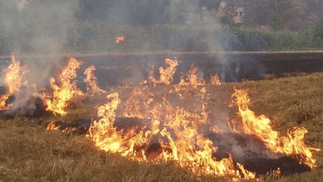 唐山各乡镇、村落一律禁止<strong></p>
<p>2018币圈</strong>！多名村民被罚