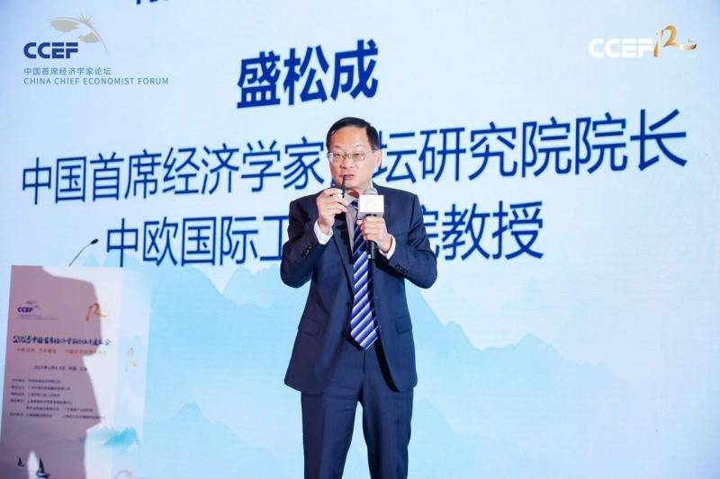 中国首席经济学家论坛研究院院长盛松成:增加收入是促消费的关键