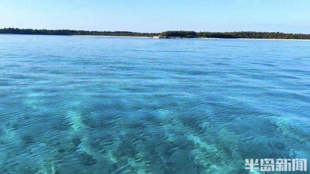 青岛女子买下70万平米小岛后续来了:目前没打算私有<strong></p>
<p>币圈的玩法</strong>,七八月份将带员工到岛上团建