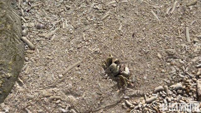 青岛女子买下70万平米小岛后续来了:目前没打算私有<strong></p>
<p>币圈的玩法</strong>,七八月份将带员工到岛上团建