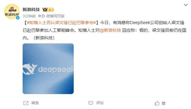 DeepSeek梁文锋用黑科技远程参加巴黎AI峰会?假的<strong></p>
<p>炒币赔光</strong>!