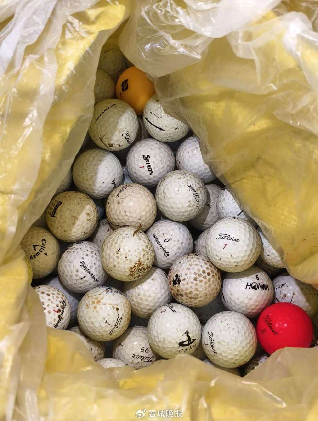 3人穿潜水服偷捞高尔夫球<strong></p>
<p>炒币神话</strong>,警方用时4小时人赃并获