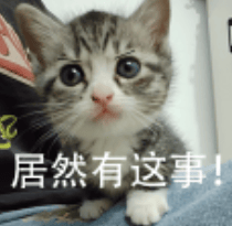 天塌了<strong></p>
<p>炒币神话</strong>， 一次性筷子都是用二氧化硫漂白的！？