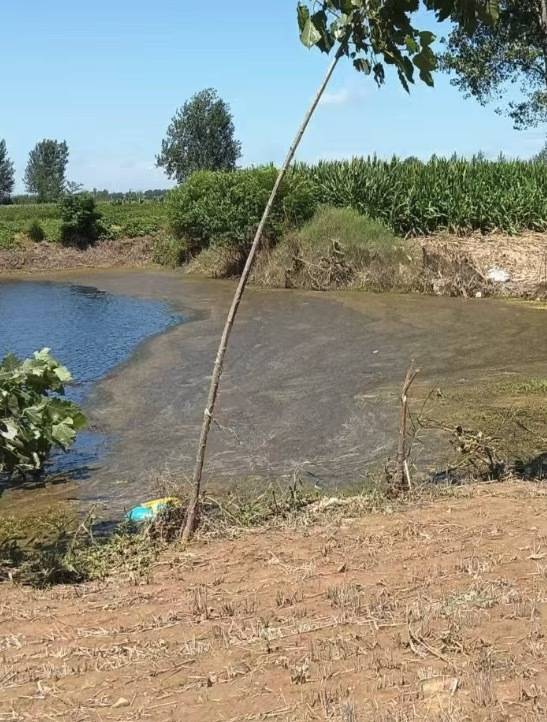 “女生遭侵犯落水被阻挡上岸至溺亡”案续：检方提起抗诉<strong></p>
<p>btfc美链币</strong>，建议死刑