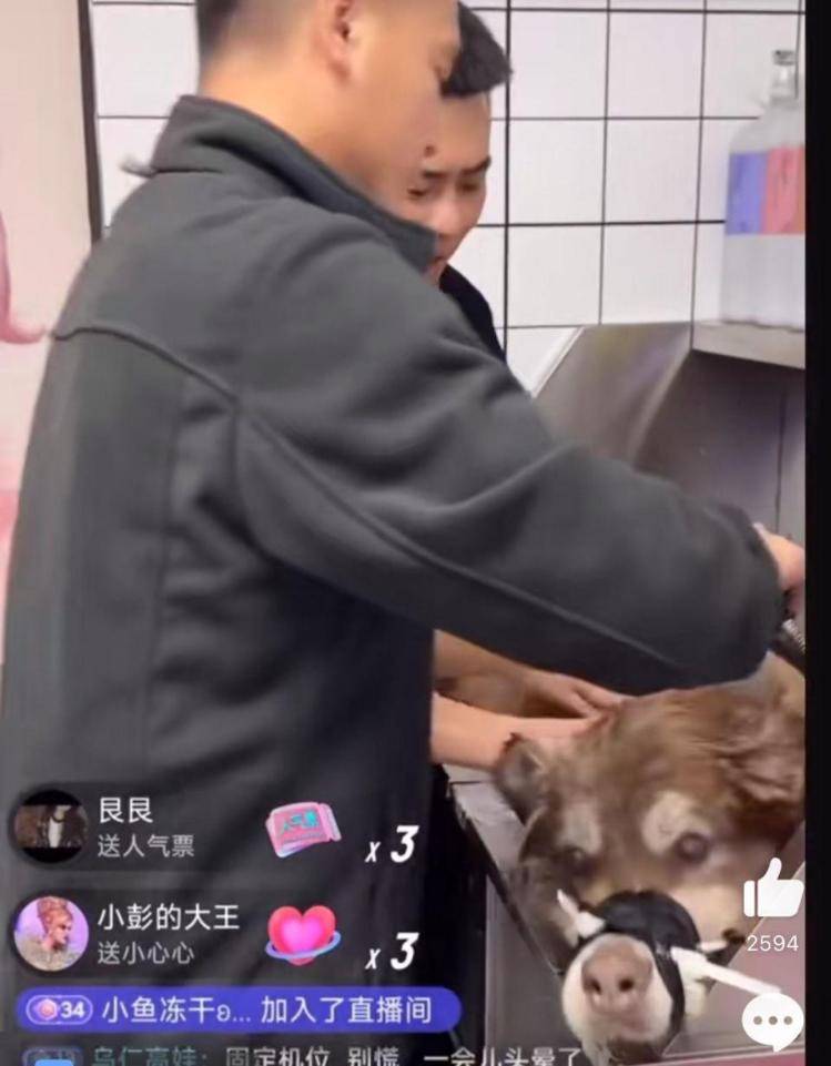 千万粉丝训犬师网红潘宏账号内容被一夜清空<strong></p>
<p>鹰币</strong>，园区所在地官方：正调查