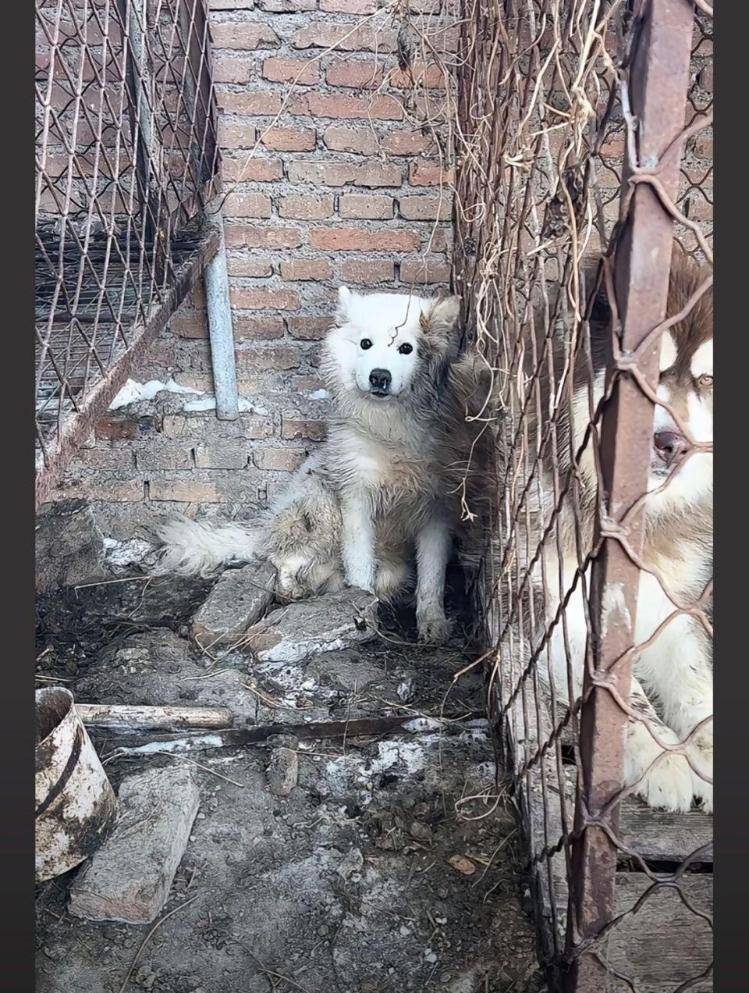 千万粉丝训犬师网红潘宏账号内容被一夜清空<strong></p>
<p>鹰币</strong>，园区所在地官方：正调查