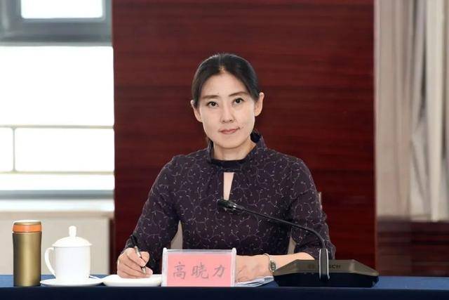 高晓力<strong></p>
<p>鹰币</strong>,晋升副部