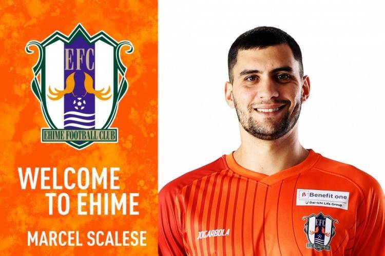 官方：前泰山外援马塞尔加盟J2球队爱媛FC<strong></p>
<p>币币交易源码</strong>，将身披3号球衣