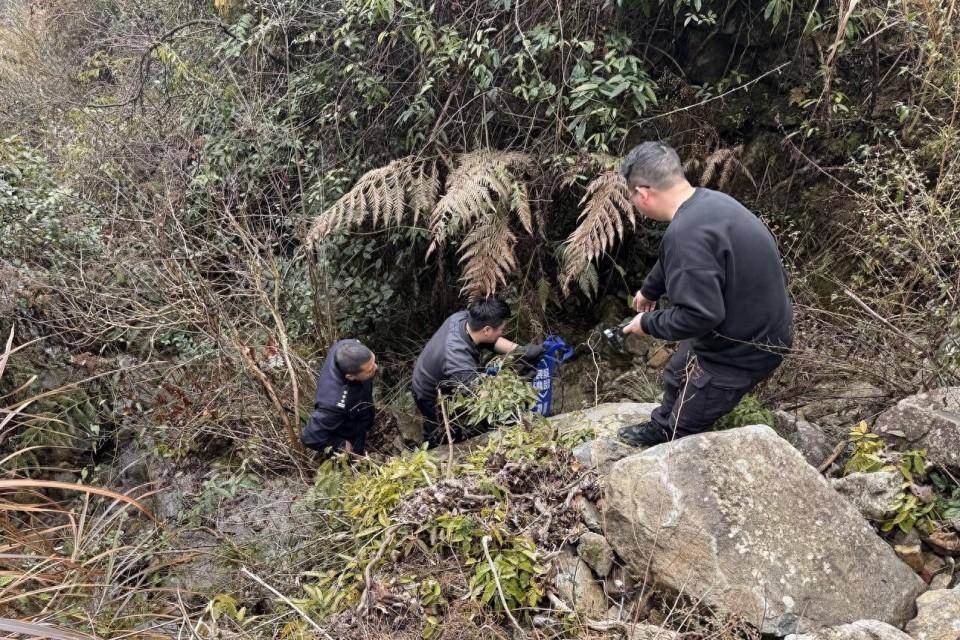 海拔900多米<strong></p>
<p>币币交易源码</strong>,嫌疑人竟连夜爬七八个小时山潜逃!蓝某已被依法采取刑事强制措施