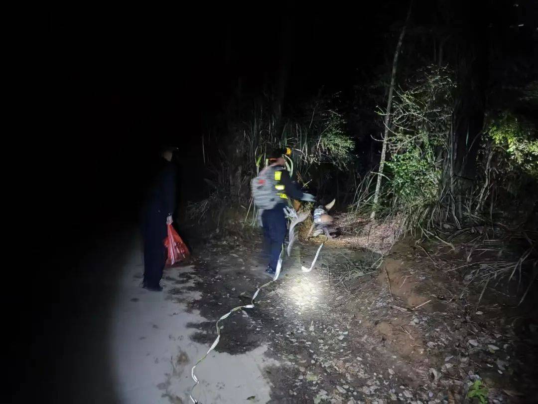 因思念在外务工妈妈<strong></p>
<p>币圈9月4号</strong>,8岁姐姐和4岁弟弟带零食手电“去旅行”失联,江西警方连夜搜寻