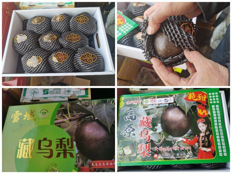 起底“藏乌梨”骗局：虚构的高原特产<strong></p>
<p>币圈割韭菜</strong>，普通梨高温加工而成