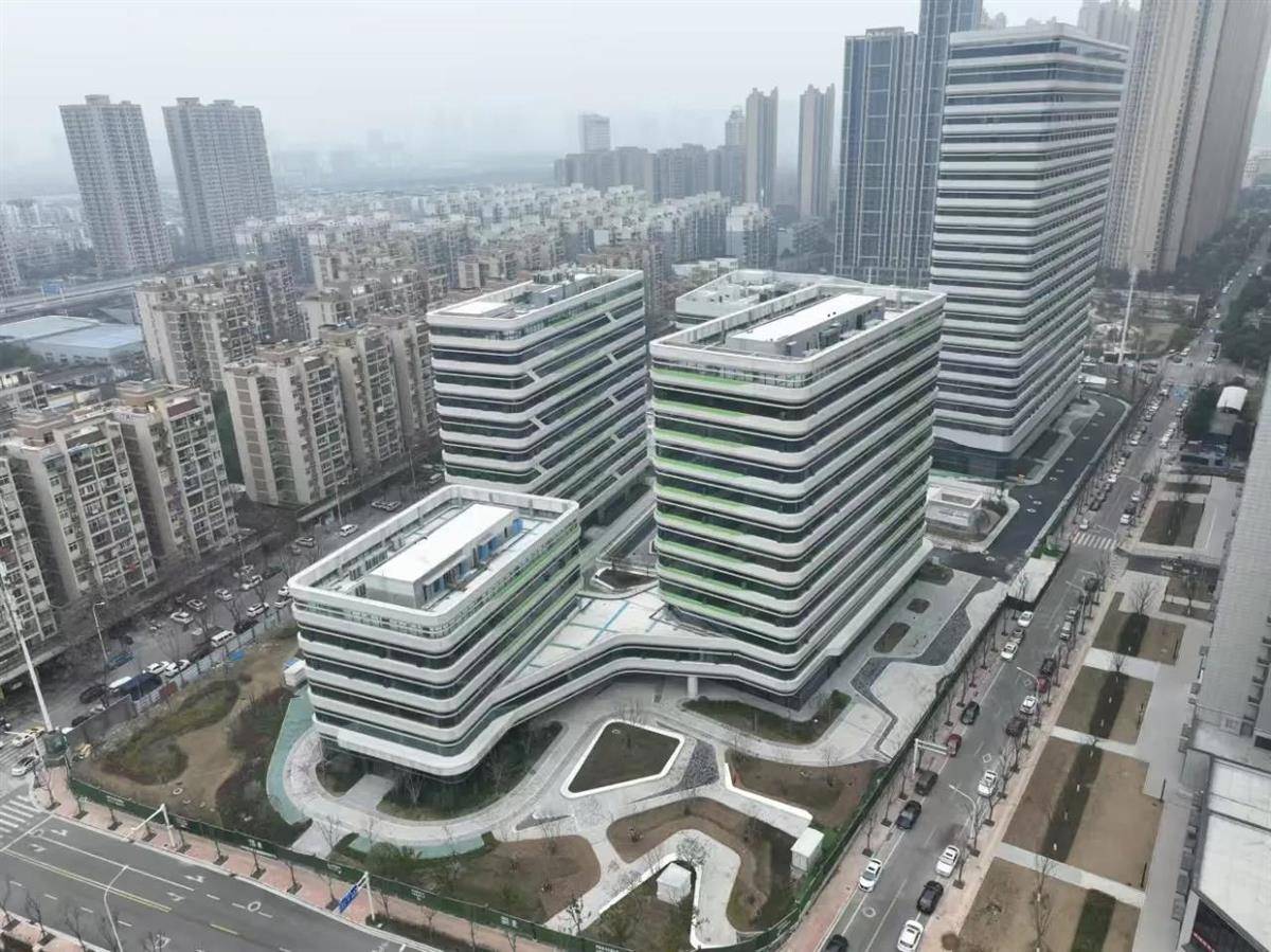 建好硚口这所三级医院<strong></p>
<p>币圈割韭菜</strong>，他们拿了一面墙的奖