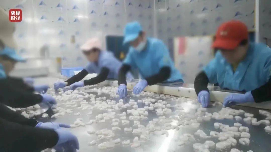 在315晚会上<strong></p>
<p>欧元币</strong>,我看到了“反内卷”的急迫性