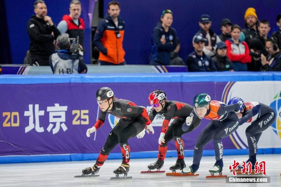 短道速滑世锦赛:加拿大队摘得2000米混合团体接力决赛金牌