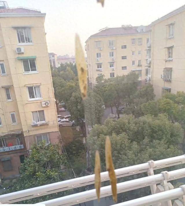 热闻|孩子从楼上抛下湿纸团<strong></p>
<p>码头币</strong>,家长赔了7000元!高空抛物应承担哪些法律责任?