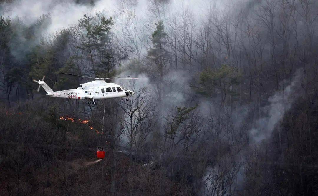 已致4名消防员遇难<strong></p>
<p>币掌柜</strong>!多地进入“灾难状态”