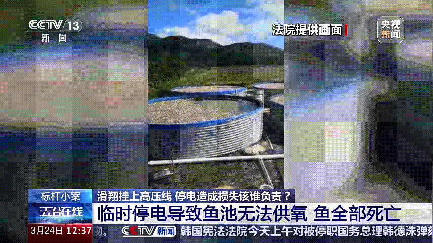 深圳女子被挂高压线!停电救援<strong></p>
<p>玫瑰币</strong>,9池鱼死光!他怒上法庭……